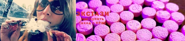 ГАЛЛЮЦИНОГЕННЫЕ ГРИБЫ Аркадак
