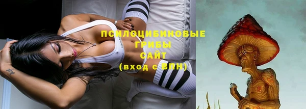 ГАЛЛЮЦИНОГЕННЫЕ ГРИБЫ Аркадак