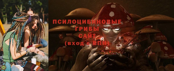 крисы Балахна