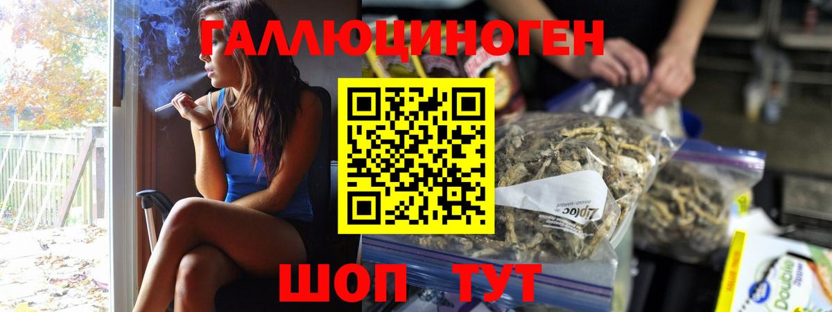 Галлюциногенные грибы Psilocybe Строитель