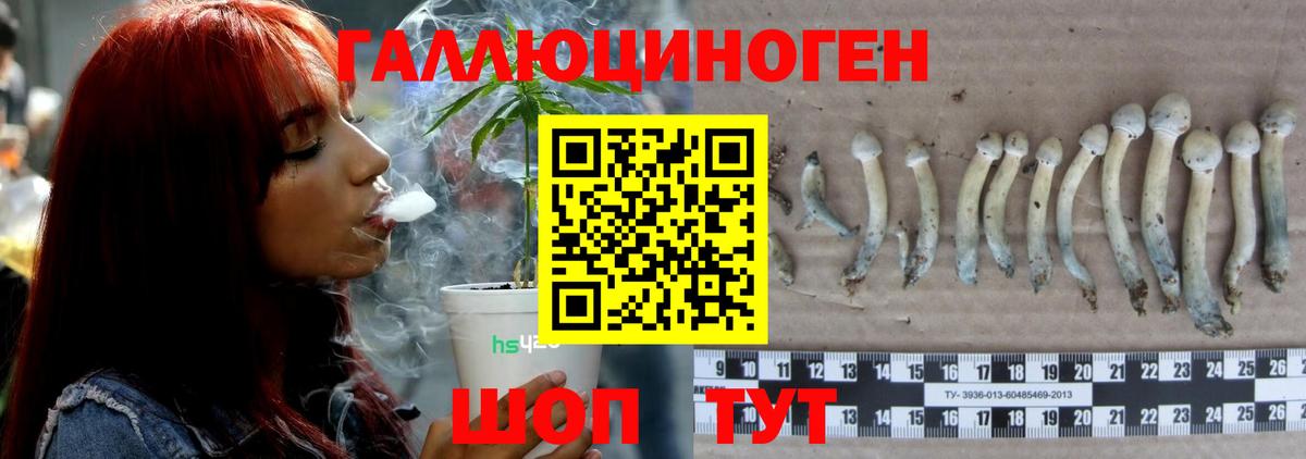 Псилоцибиновые грибы Magic Shrooms  Вход с VPN  Псилоцибиновые грибы Psilocybe  Строитель 